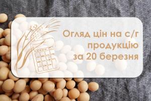У Миколаївському порту другий день поспіль зростає ціна сої — огляд цін на с/г продукцію за 20 березня