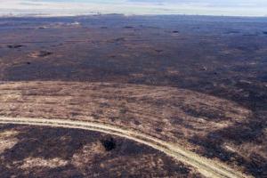 Тисячі гектарів заповідного степу вигоріло на Одещині