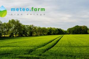 Фермери отримали сервіс прогнозу погоди для кожного поля в Україні