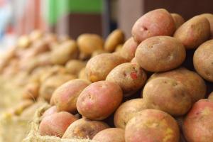 Українська картопля б’є цінові рекорди
