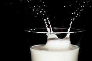 Виробництво молока за перший квартал 2019 року скоротилося