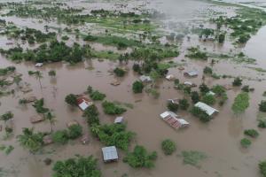 У Мозамбіку циклон знищив 168 тис. га посівів