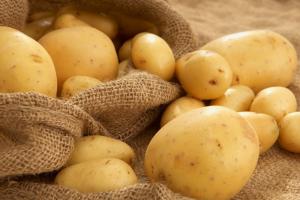 У столиці молоду картоплю продають по 70 грн/кг