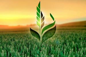 Аграрний фонд отримав кредитний рейтинг «стабільний»