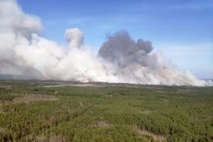 На Житомирщині горять 15 га лісового масиву