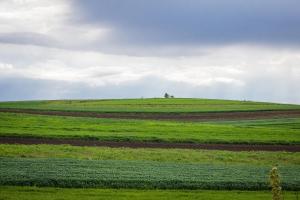 На Рівненщині сума аграрних розписок вже перевершила увесь минулий рік