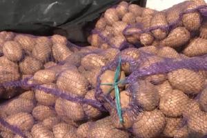 В Україну намагалися завезти картоплю, заражену небезпечною хворобою