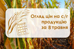 Зернові знову дешевшають — огляд цін на с/г продукцію за 8 травня