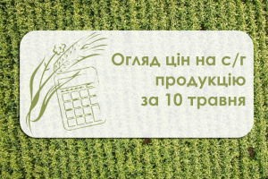 Вартість зернових падає, соняшник дорожчає — огляд цін на с/г культури за 10 травня