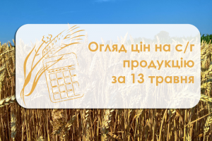 Зернові подорожчали, соняшник знизився в ціні — огляд цін на с/г культури за 13 травня