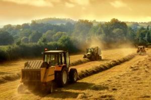Кількість фермерських господарств зросла до 46 тисяч