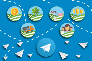 Свіжі аграрні вакансії України можна тепер знайти в Telegram