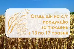 Пшениця, кукурудза та ячмінь подешевшали — огляд цін на с/г продукцію за тиждень з 13 по 17 травня