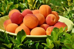 Цьогоріч імпортні абрикоси подешевшали на 25%