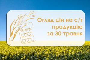 Вартість зернових продовжує зростати — огляд цін на с/г продукцію за 30 травня 