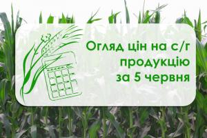 У порту Миколаївської області подорожчала соя — огляд цін на с/г продукцію за 5 червня