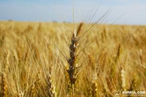 Франдеса Україна запустила новий напрямок роботи з сільгосппродукцією