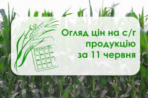 На Миколаївщині подешевшала соя — огляд цін на с/г продукцію за 11 червня