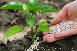 В Україні будуть виробляти американські біопрепарати для захисту рослин