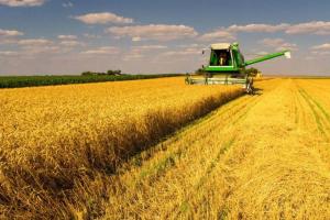 На Миколаївщини планують зібрати майже 800 тисяч га ранніх зернових