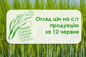 Пшениця 2 класу та кукурудза подорожчали — огляд цін на с/г продукцію за 12 червня
