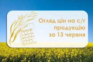 Соя та пшениця 2 класу подорожчали — огляд цін на с/г продукцію за 13 червня