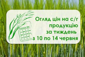 Як змінилася вартість пшениці, ячменю та сої — огляд цін на с/г продукцію з 10 по 14 червня