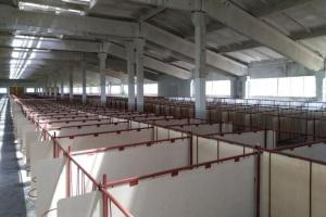 Новий відгодівельний комплекс почне роботу на Черкащині