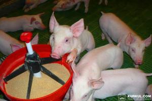 Ветеринар вкрав корм для племінних тварин на Херсонщині