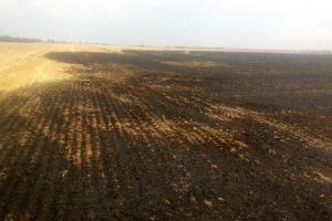 Згоріли ще два поля фермерської пшениці на Херсонщині