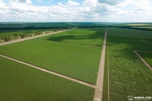 Фермер поверне державі землі вартістю майже 6 млн грн