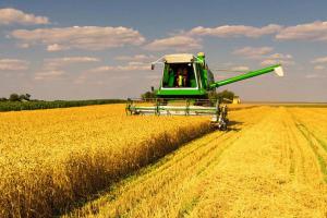 Урожай зернових на Дніпропетровщині буде значно меншим минулорічного — Анатолій Гайворонський