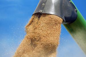 Україна експортувала рекордну кількість зерна