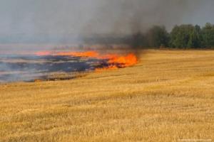 Знову горять пшеничні поля — тепер на Полтавщині та Харківщині