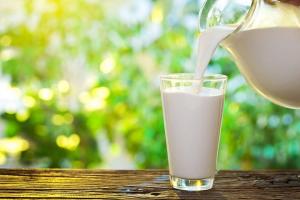 До 2030 року Україна може потрапити до ТОП-10 виробників молока світу