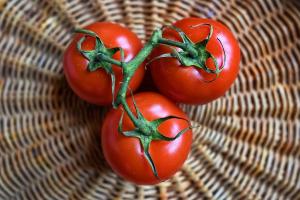 Сезон вітчизняних грунтових томатів розпочався з високих цін