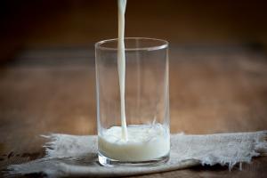 Прибутковість виробництва молока зросла на третину