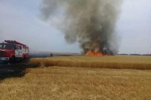 На Донеччині згоріло 50 га пшениці