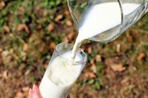 Українське молоко може зникнути з магазинів