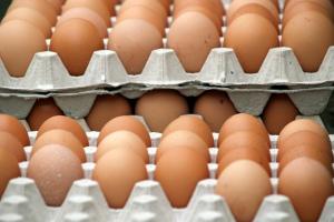 Експорт яєць з України збільшився майже вдвічі
