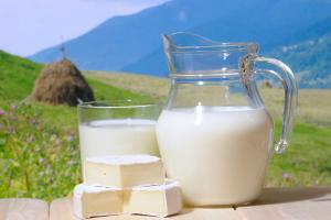 Виробники молока просять зниження ставки ПДВ на свою продукцію