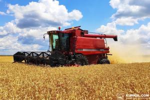 В Україні зібрали 15 млн тонн ранніх зернових культур 