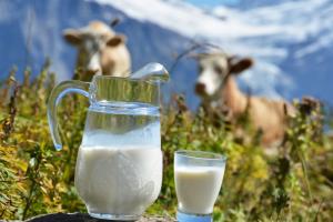 В Україні зафіксували стрімке зростання цін на молоко