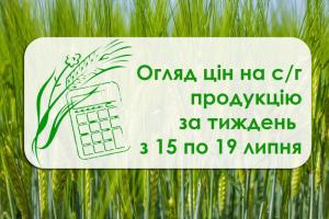Як змінилася вартість пшениці, кукурудзи та ріпаку за тиждень — огляд цін з 15 по 19 липня