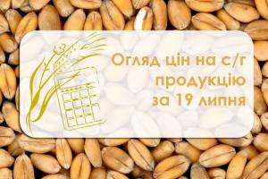 В портах Одещини подешевшала кукурдза і ріпак — огляд цін на с/г продукцію за 19 липня