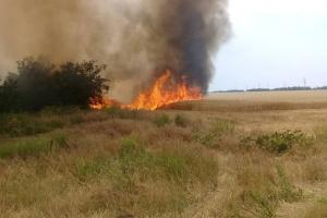 За добу пожежники ліквідували п'ять пожеж на полях зі збіжжям