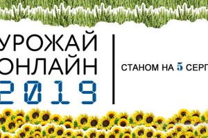 В Україні зібрали 98% озимого ріпаку — Урожай Онлайн