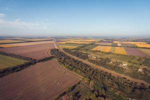 Мартинюк кришує земельну «мафію» в Україні — Дубінський