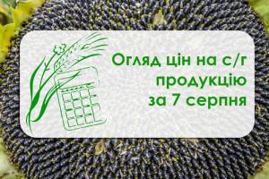 В Україні подешевшав соняшник — огляд цін на с/г продукцію за 7 серпня 