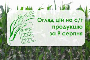 В Україні зросла ціна ячменю — огляд цін на с/г продукцію за 9 серпня